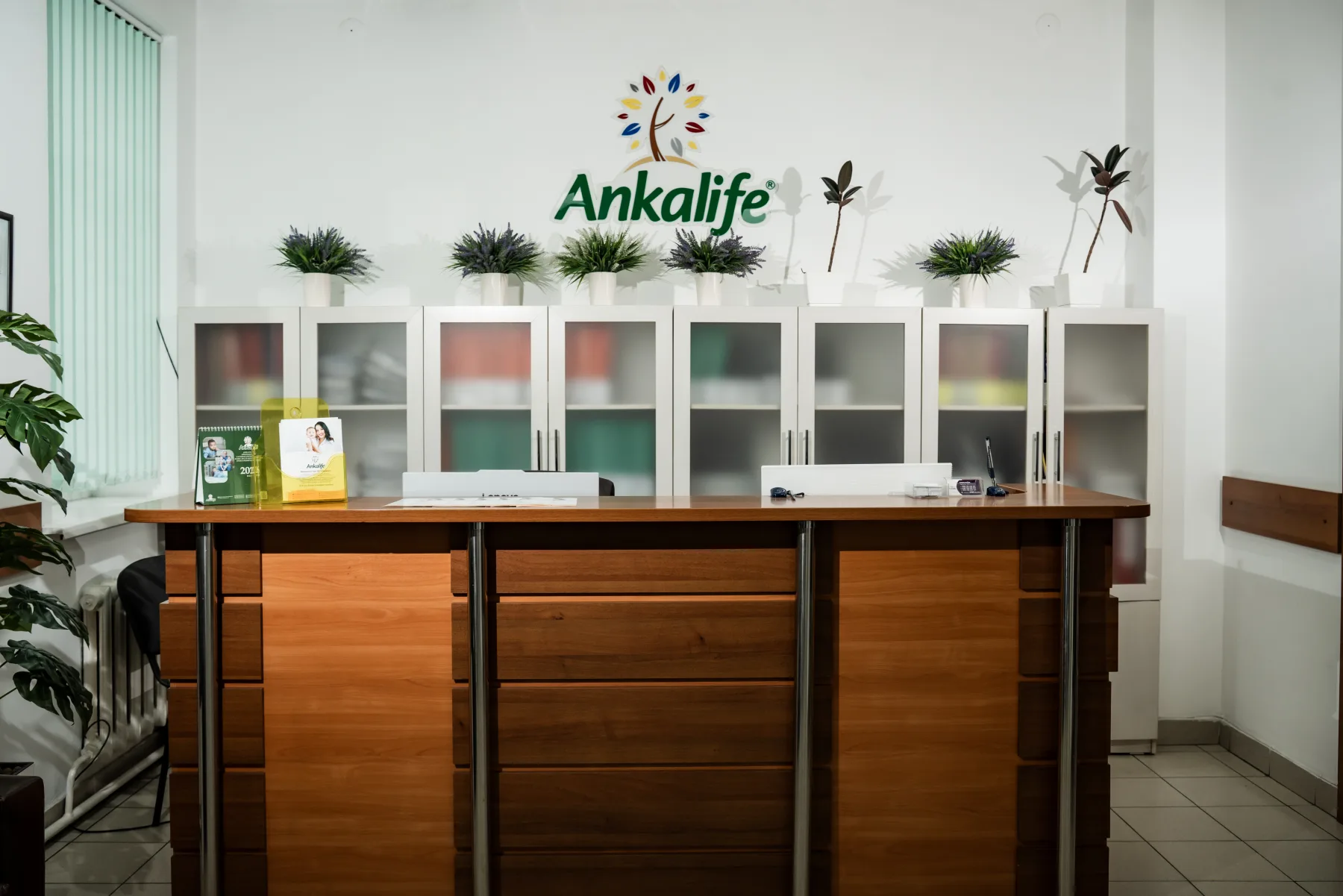 Ankalife Bishkek clinic